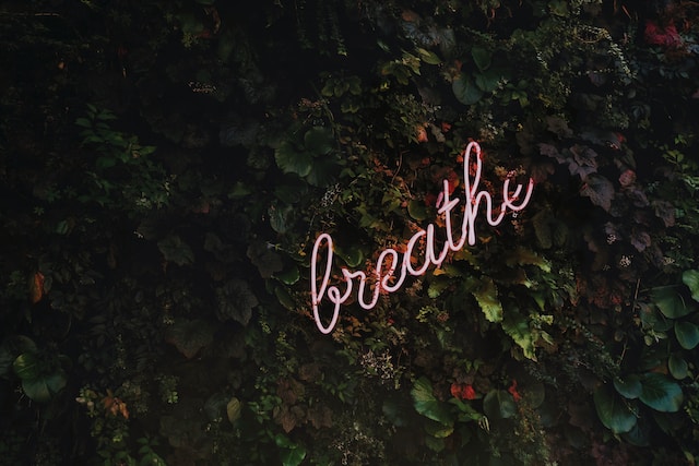 Top Health and Wellness Trends for Autumn-Winter 2023